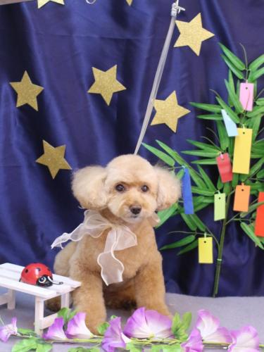 20230720モンチちゃん